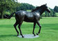 Điêu khắc ngựa bằng đồng lớn, tượng đồng ngoài trời Thiết kế cổ ngựa nhà cung cấp