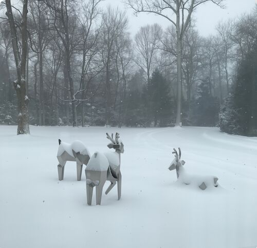 Blog công ty mới nhất về Đàn Cừu Pha Lê: Nơi Thiên Nhiên Gặp Gỡ Hình Học