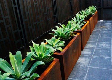 Giá tốt. Trồng kim loại vuông tùy chỉnh ngoài trời Corten Một vật liệu Chiều cao 50 cm trực tuyến