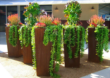 Giá tốt. Phong cách hiện đại Hộp trồng cây bằng thép Corten lớn để trang trí ngoài trời Chiều cao 80cm trực tuyến